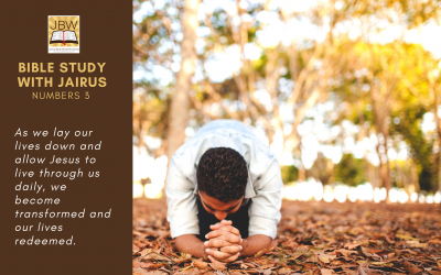 睚鲁的圣经世界-民数记3