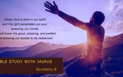 睚鲁的圣经世界-民数记8