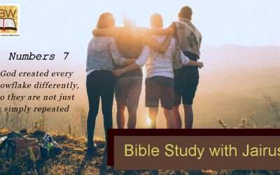 睚鲁的圣经世界-民数记7