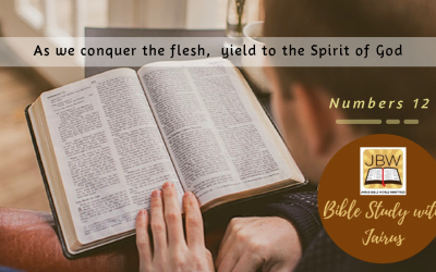 睚鲁的圣经世界-民数记12