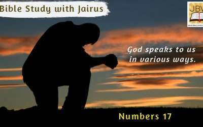 睚鲁的圣经世界-民数记17