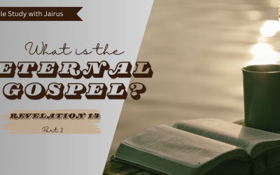 睚鲁的圣经世界-启示录14-2 两辆全速行驶的列车和两种天使的收割