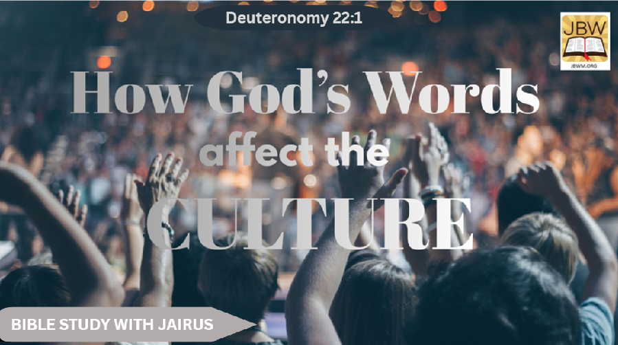 #Bible Study With #Jairus # Deuteronomy 22-1 How God’s Words Affect the Culture